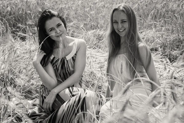 Chicas de pie en un campo de trigo . — Foto de Stock