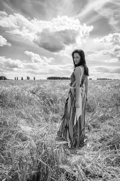 Mujer joven en el campo de verano —  Fotos de Stock