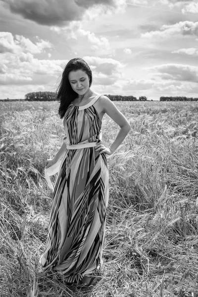 Mujer joven en el campo de verano —  Fotos de Stock