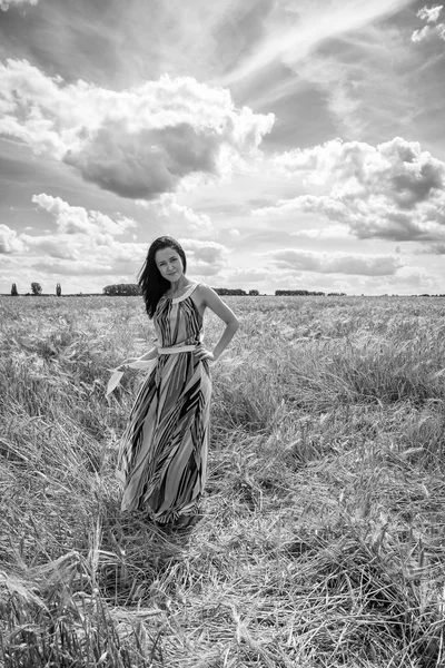 Молодая женщина в летнем поле — стоковое фото