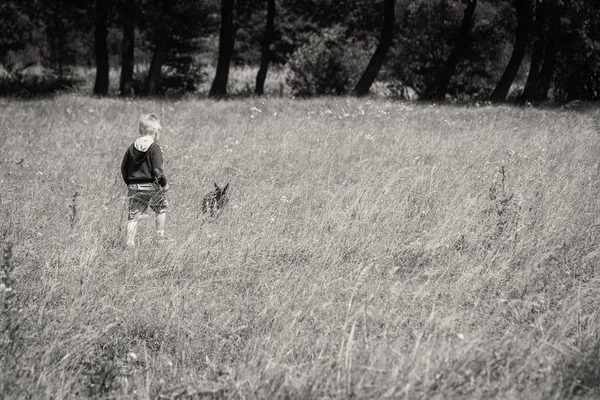 Αγόρι παίζει με το σκυλί στο πεδίο — Φωτογραφία Αρχείου