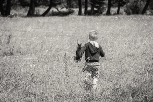 Boy playing with dog in the field