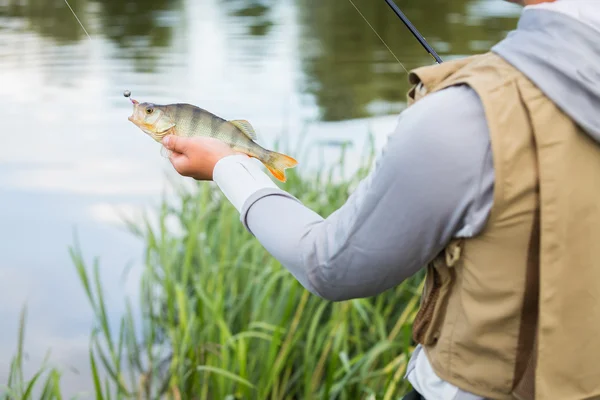 Pescador segurando um poleiro na mão — Fotografia de Stock