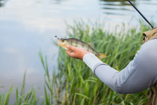 Pêcheur tenant une perche à la main — Photo