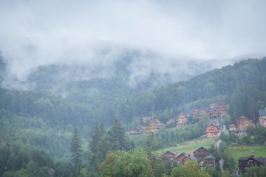 Güzel, yeşil yatay evler
