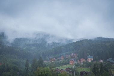 Güzel, yeşil yatay evler