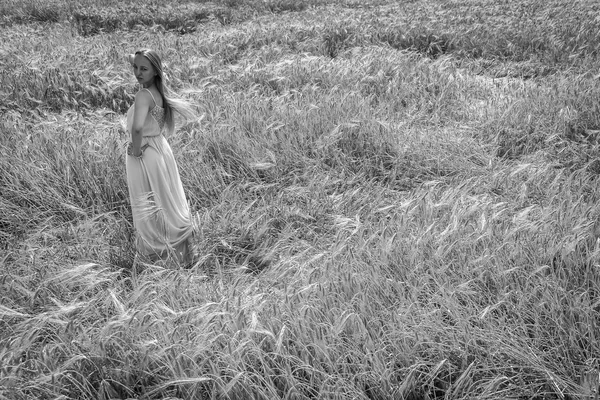 Donna nel campo di grano. — Foto Stock