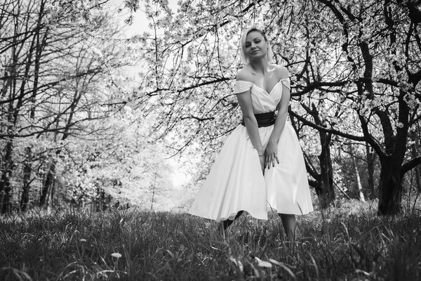 Beautiful blonde in white dress in spring garden. Black and white photo.