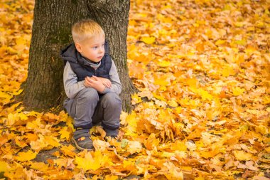 Sonbahar Park bir ağacın altında oturan çocuk