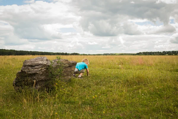 Little boy in the middle of the field — Stock Photo, Image