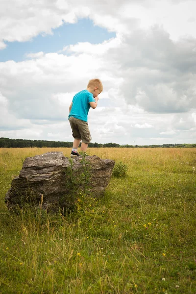 Little boy in the middle of the field on the stone. — Stock Photo, Image