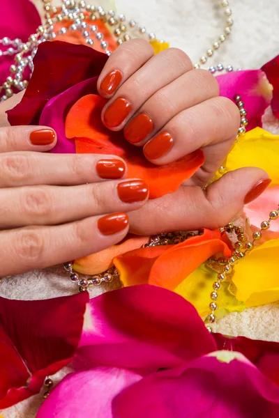 Beautiful hands with a nice manicure — Stock Photo, Image