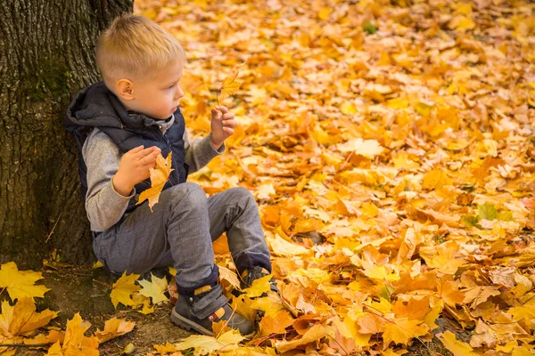 Boy sitting under a tree in autumn park — Stock Photo, Image