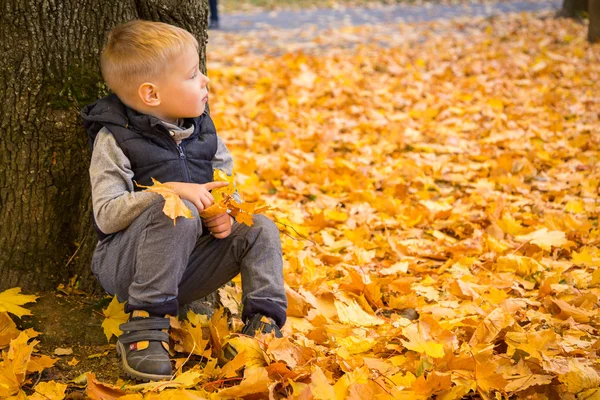 Boy sitting under a tree in autumn park — Stock Photo, Image