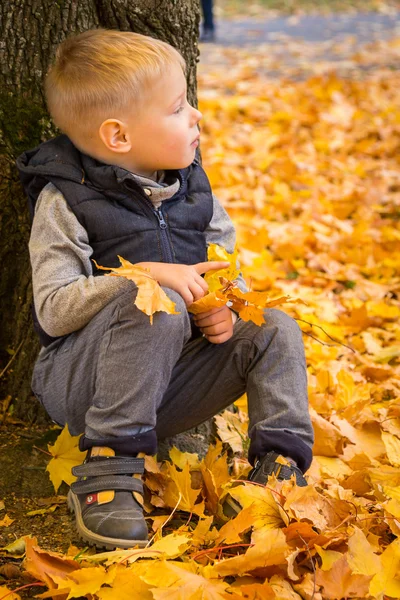 Boy sitting under a tree in autumn park — Stock Photo, Image