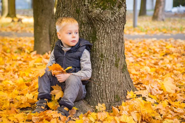 Boy sitting under a tree in autumn park — Stock Photo, Image