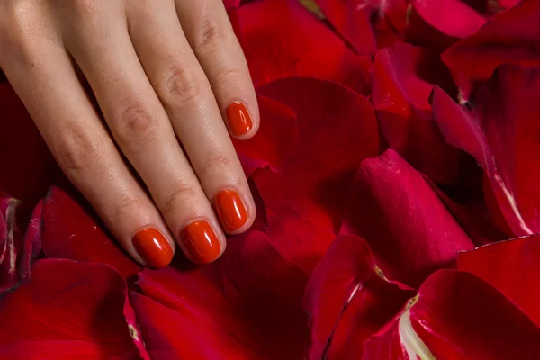 Bela mão com uma bela manicure . — Fotografia de Stock