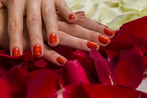 Beautiful hands with a nice manicure — Stock Photo, Image