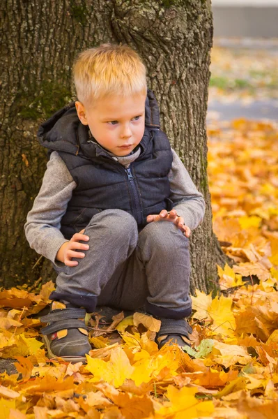 Niño sentado bajo el árbol en el parque —  Fotos de Stock