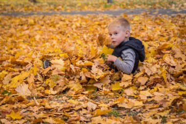 küçük çocuk sonbahar yaprakları ile oynama