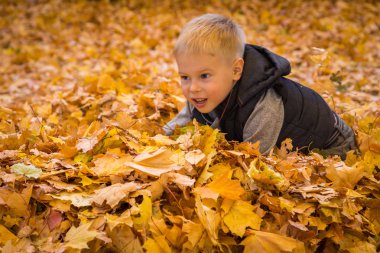 küçük çocuk sonbahar yaprakları ile oynama