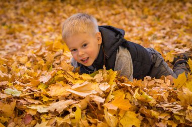 küçük çocuk sonbahar yaprakları ile oynama