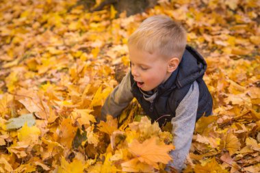 küçük çocuk sonbahar yaprakları ile oynama