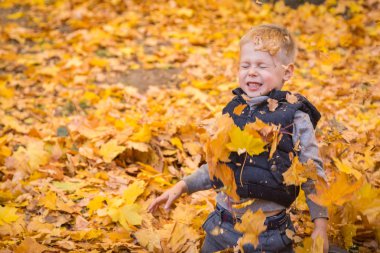 küçük çocuk sonbahar yaprakları ile oynama