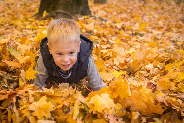 Little boy playing with autumn leaves — Stock Photo, Image