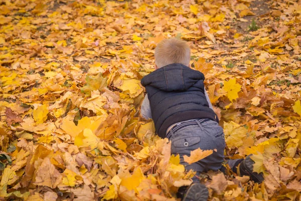 Kleine jongen spelen met Herfstbladeren — Stockfoto