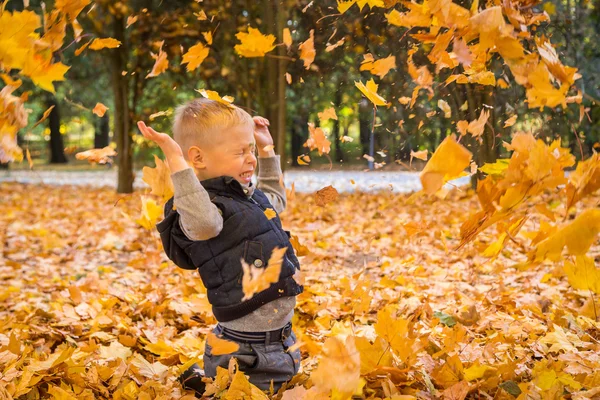 Little boy playing with autumn leaves — Stock Photo, Image