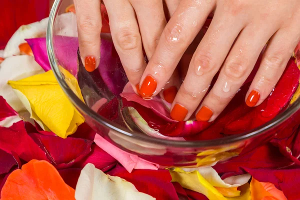 Spa treatment for hands — Stock Photo, Image