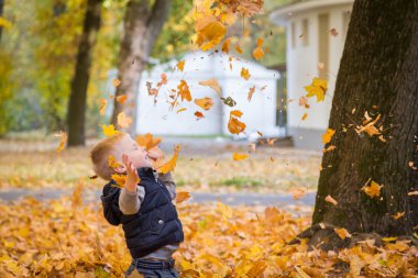 küçük çocuk sonbahar yaprakları ile oynama