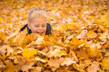 küçük çocuk sonbahar yaprakları ile oynama