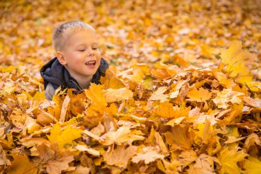 küçük çocuk sonbahar yaprakları ile oynama