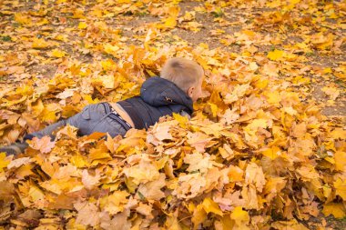 küçük çocuk sonbahar yaprakları ile oynama