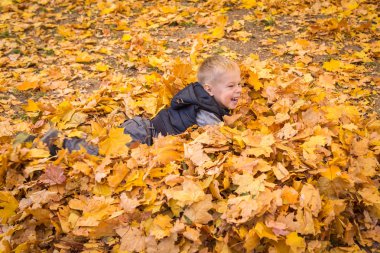küçük çocuk sonbahar yaprakları ile oynama