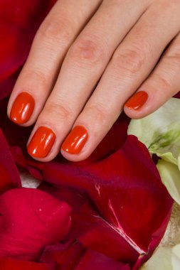 Kırmızı ile kadının el cilası