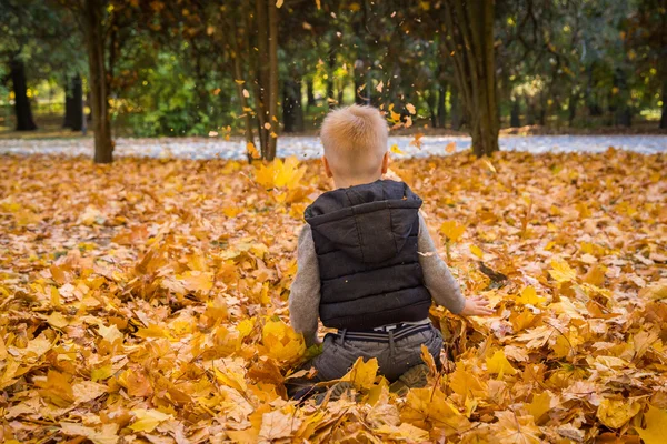 Kleine jongen spelen met Herfstbladeren — Stockfoto