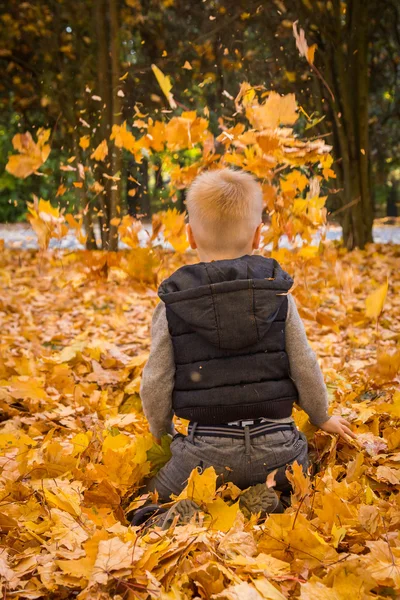 Menino brincando com folhas de outono — Fotografia de Stock