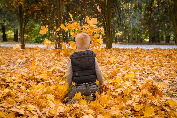 Niño jugando con hojas de otoño — Foto de Stock