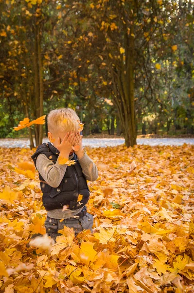 Little boy playing with autumn leaves — Stock Photo, Image