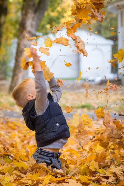 Little boy playing with autumn leaves — Stock Photo, Image