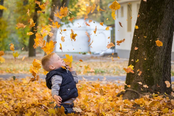 Little boy playing with autumn leaves — Stock Photo, Image