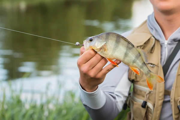 Fischer mit einem Barsch in der Hand — Stockfoto