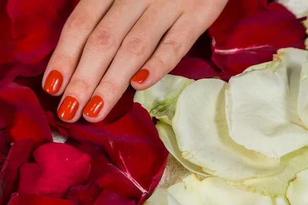 Mãos de mulher com esmalte vermelho — Fotografia de Stock