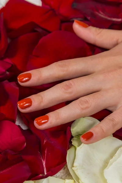 Mãos de mulher com esmalte vermelho — Fotografia de Stock