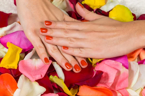 Vrouw handen met rode nagel Pools — Stockfoto