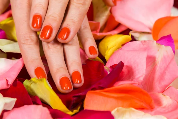 Woman's hands with red nail polish — Stock Photo, Image