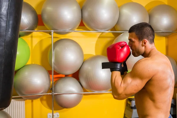 Muscular man in boxing gloves in gym